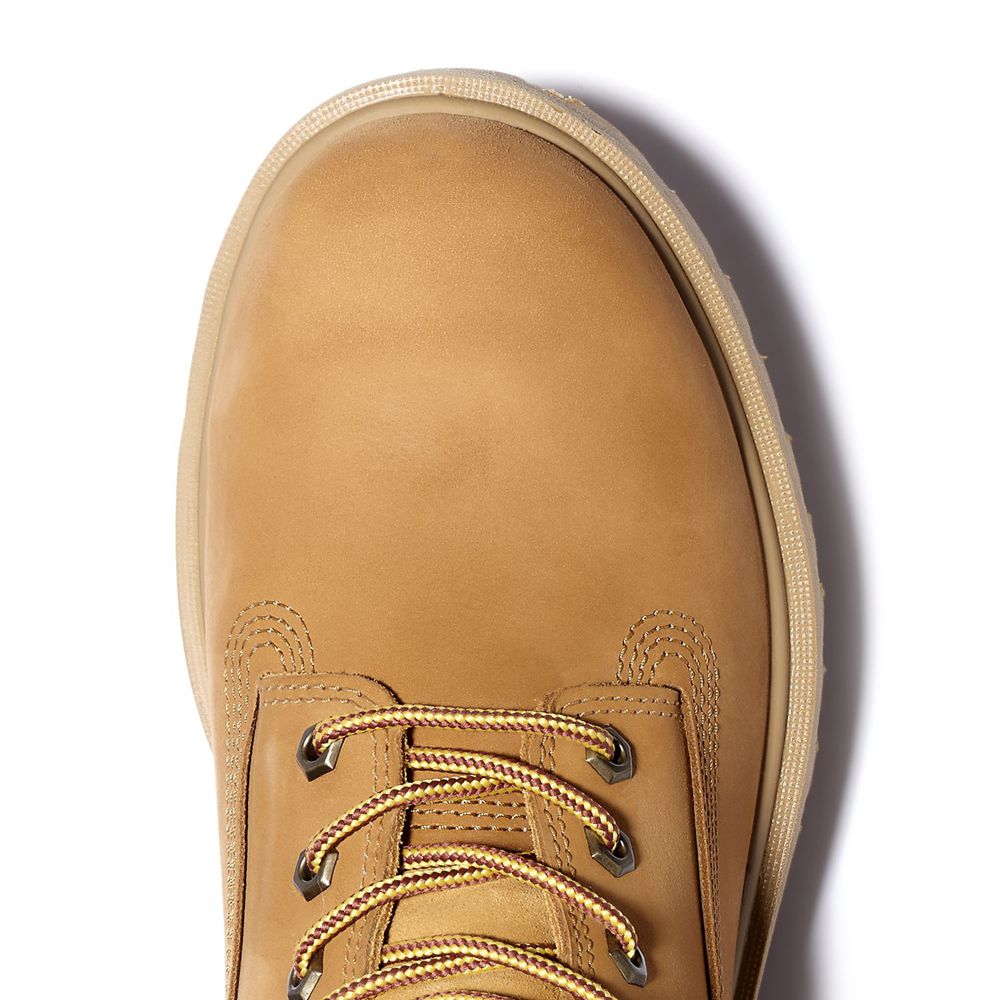 Bocanci Pro Timberland Barbati Maro - Direct Attach 6\" Soft Toe - Romania - PVFKUM829